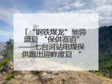“钢铁煤龙”驰骋盛夏 “保供赛道”——七台河站电煤保供跑出迎峰度夏 “加速度”