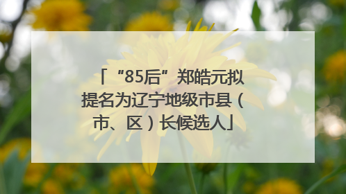 “85后”郑皓元拟提名为辽宁地级市县（市、区）长候选人