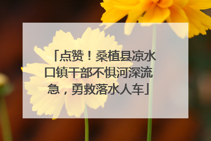 点赞！桑植县凉水口镇干部不惧河深流急，勇救落水人车