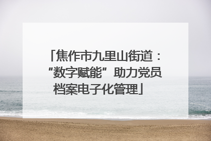 焦作市九里山街道：“数字赋能”助力党员档案电子化管理