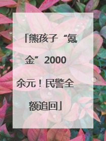熊孩子“氪金”2000余元！民警全额追回