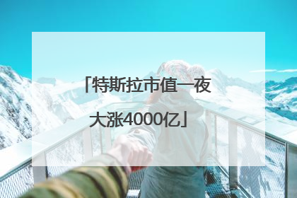 特斯拉市值一夜大涨4000亿