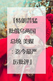 特朗普猛批俄乌两国总统 美媒：迄今最严厉批评