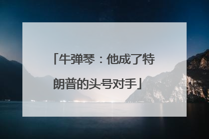 牛弹琴：他成了特朗普的头号对手