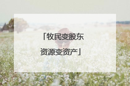 牧民变股东 资源变资产
