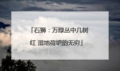 石狮：万绿丛中几树红 湿地荷塘韵无穷