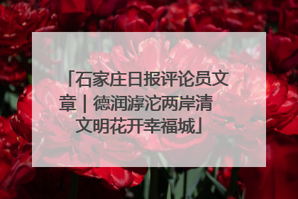 石家庄日报评论员文章｜德润滹沱两岸清 文明花开幸福城