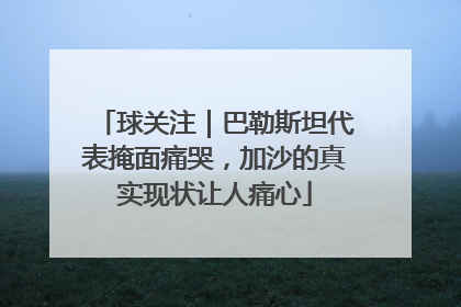 球关注｜巴勒斯坦代表掩面痛哭，加沙的真实现状让人痛心