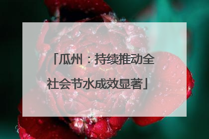 瓜州：持续推动全社会节水成效显著