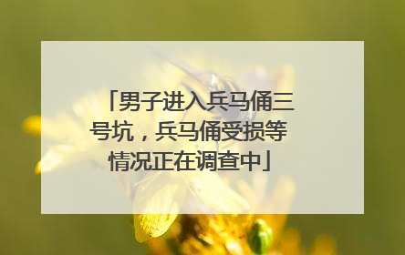 男子进入兵马俑三号坑，兵马俑受损等情况正在调查中