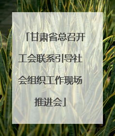 甘肃省总召开工会联系引导社会组织工作现场推进会