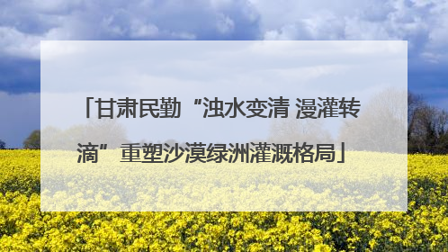 甘肃民勤“浊水变清 漫灌转滴”重塑沙漠绿洲灌溉格局