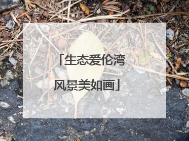 生态爱伦湾 风景美如画