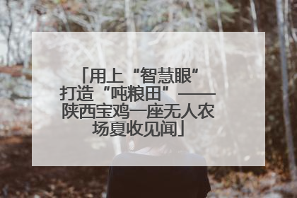 用上“智慧眼” 打造“吨粮田”——陕西宝鸡一座无人农场夏收见闻