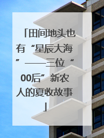 田间地头也有“星辰大海”——三位“00后”新农人的夏收故事