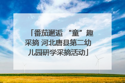 番茄邂逅 “童”趣采摘 河北唐县第二幼儿园研学采摘活动