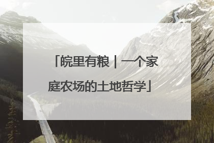 皖里有粮｜一个家庭农场的土地哲学