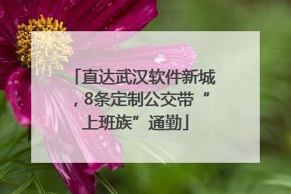 直达武汉软件新城，8条定制公交带“上班族”通勤
