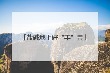 盐碱地上好“丰”景