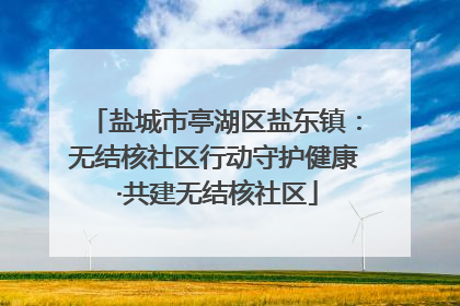 盐城市亭湖区盐东镇：无结核社区行动守护健康 ·共建无结核社区