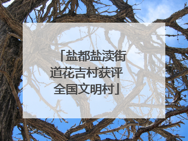 盐都盐渎街道花吉村获评全国文明村