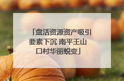 盘活资源资产吸引要素下沉 南平王山口村华丽蜕变