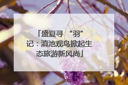 盛夏寻 “羽” 记：滇池观鸟掀起生态旅游新风尚