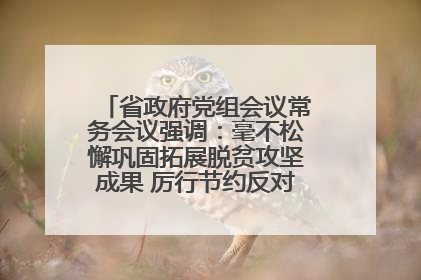 省政府党组会议常务会议强调：毫不松懈巩固拓展脱贫攻坚成果 厉行节约反对浪费弘扬优良作风