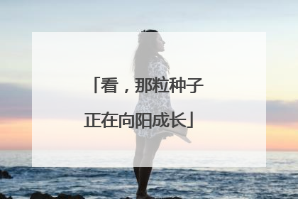 看，那粒种子正在向阳成长