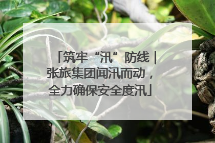 筑牢“汛”防线｜张旅集团闻汛而动，全力确保安全度汛