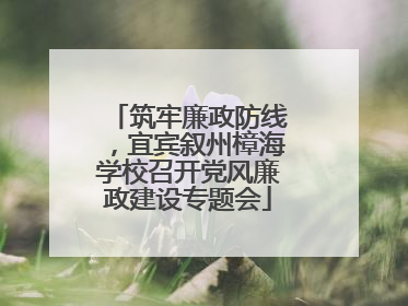 筑牢廉政防线，宜宾叙州樟海学校召开党风廉政建设专题会