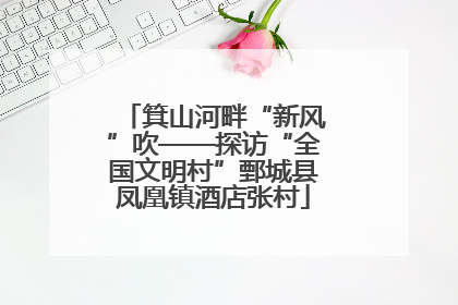 箕山河畔“新风”吹——探访“全国文明村”鄄城县凤凰镇酒店张村