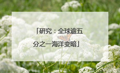研究：全球逾五分之一海洋变暗