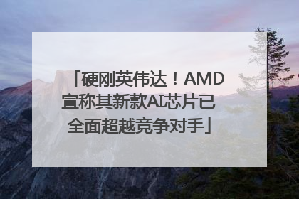硬刚英伟达！AMD宣称其新款AI芯片已全面超越竞争对手