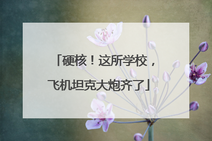 硬核！这所学校，飞机坦克大炮齐了