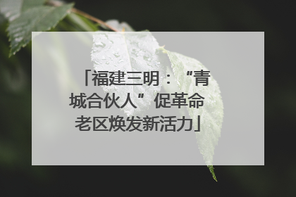 福建三明：“青城合伙人”促革命老区焕发新活力