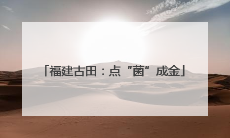 福建古田：点“菌”成金