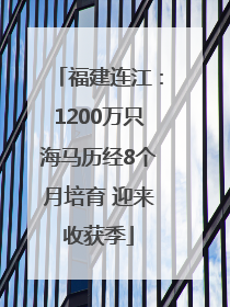 福建连江：1200万只海马历经8个月培育 迎来收获季