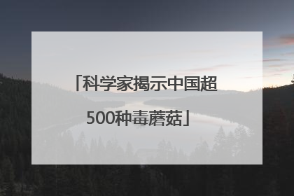 科学家揭示中国超500种毒蘑菇