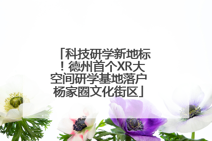 科技研学新地标！德州首个XR大空间研学基地落户杨家圈文化街区