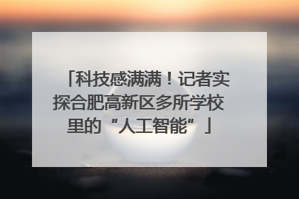 科技感满满！记者实探合肥高新区多所学校里的“人工智能”