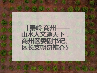 秦岭·商州——山水人文邀天下，商州区委副书记、区长支朝奇推介5个重点招商项目