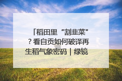 稻田里“割韭菜”？看自贡如何破译再生稻气象密码｜绿镜头·发现中国