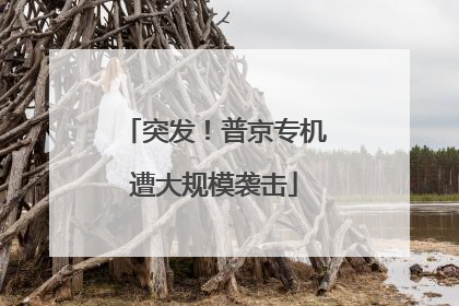 突发！普京专机遭大规模袭击
