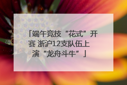 端午竞技“花式”开赛 浙沪12支队伍上演“龙舟斗牛”