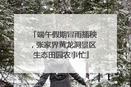 端午假期冒雨插秧，张家界黄龙洞景区生态田园农事忙