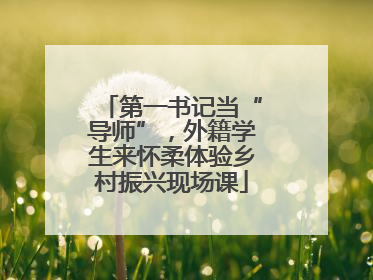 第一书记当“导师”，外籍学生来怀柔体验乡村振兴现场课