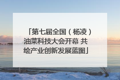 第七届全国（杨凌）油菜科技大会开幕 共绘产业创新发展蓝图
