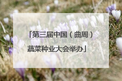 第三届中国（曲周）蔬菜种业大会举办