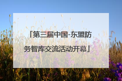 第三届中国-东盟防务智库交流活动开幕